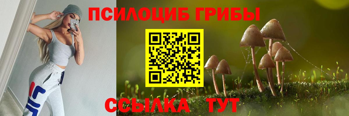 Псилоцибиновые грибы MAGIC MUSHROOMS Будённовск