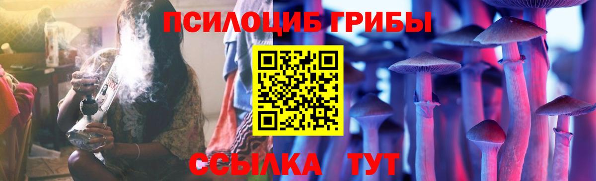 сколько стоит  Галлюциногенные грибы MAGIC MUSHROOMS  Галлюциногенные грибы MAGIC MUSHROOMS  Вход с VPN  Будённовск 